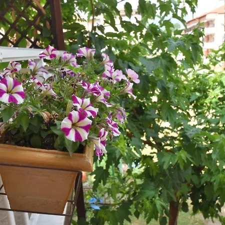 Garbis μπακάλης θεοχάρης Лептокария